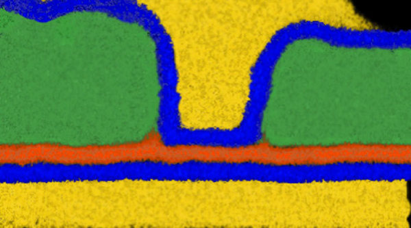 STM-EDX Elemental map of Indium-Tungsten-Oxide transistor devices used for Capacitorless 2-Transistor DRAM